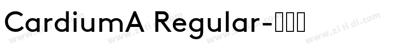 CardiumA Regular字体转换